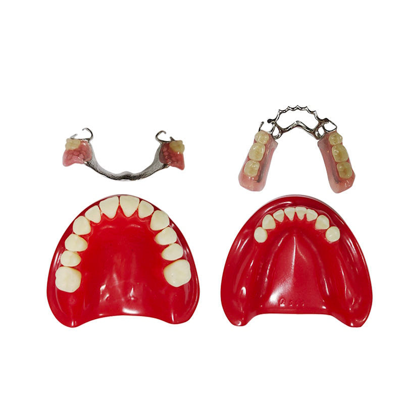 Import Quartz Rubber Plate Partially Edentulous Model for Guiding Students to Complete the Preparation
