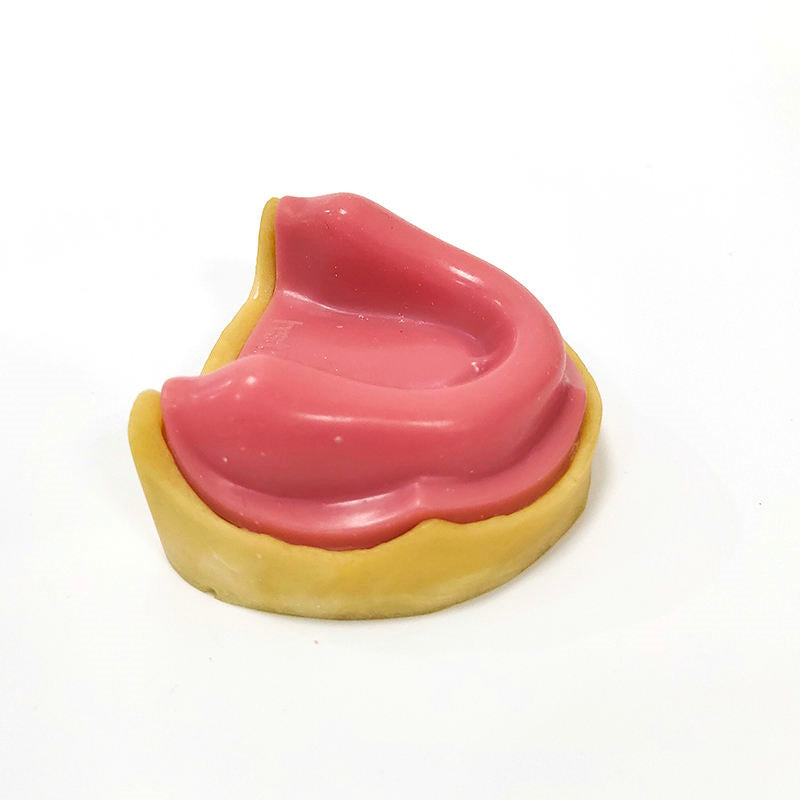 Popular Dental Implant Practice Model for Teaching
