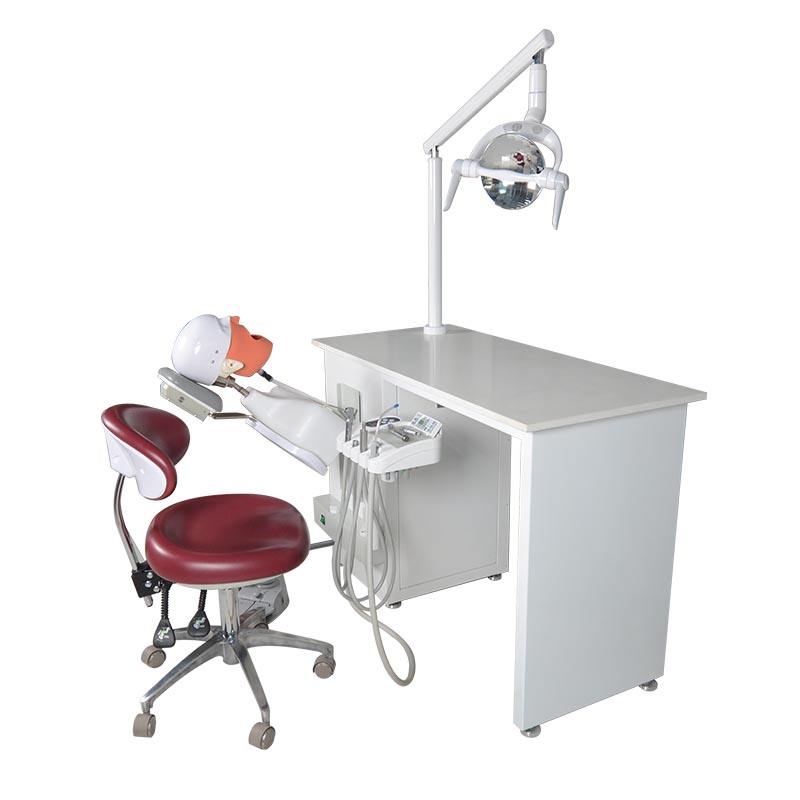 Dental Phantom Head Dental Simulator for Training Practice