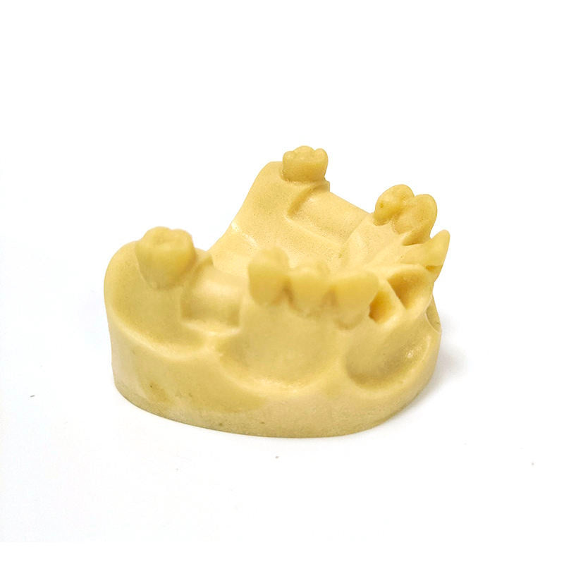 Popular Dental Implant Practice Model for Teaching