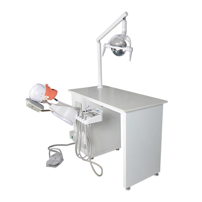 Dental Phantom Head Dental Simulator for Training Practice