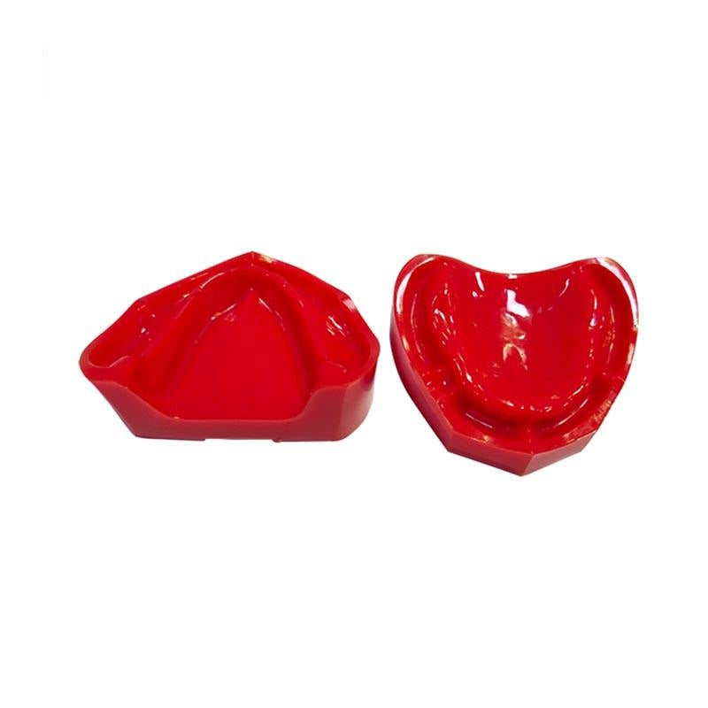 Dental Teeth Teaching Model Imported Resin Edentulous Jaw Model