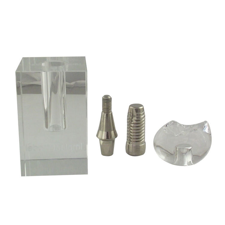 Dental Implant Basic Teaching Demonstration Model Dental Implant Training Model