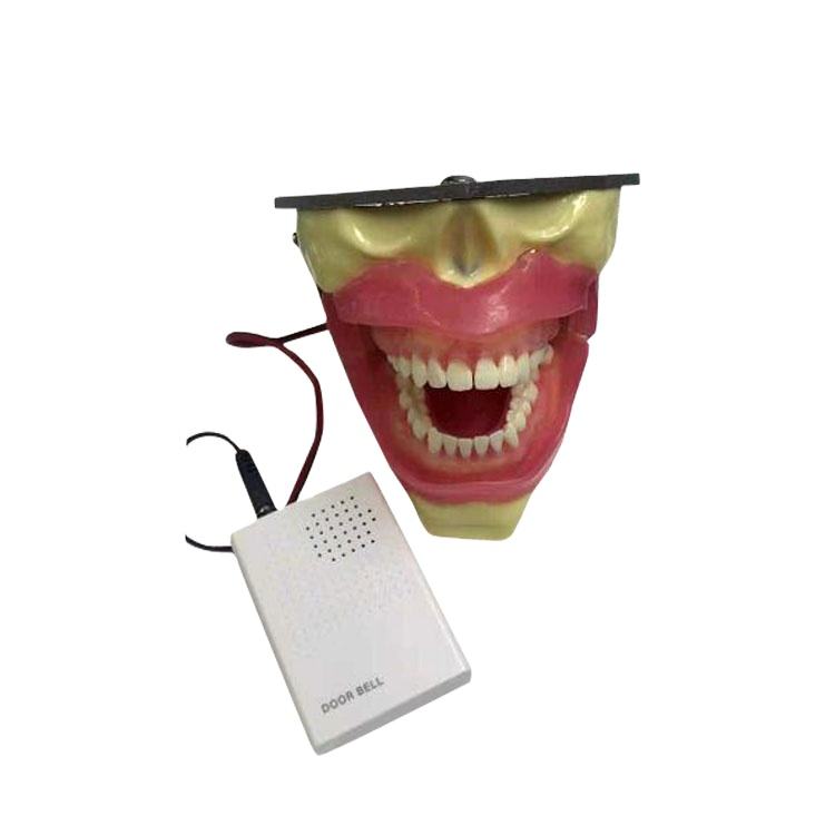 Anesthesia Extraction Dental Practice Models Oral Anesthesia Manikin Head