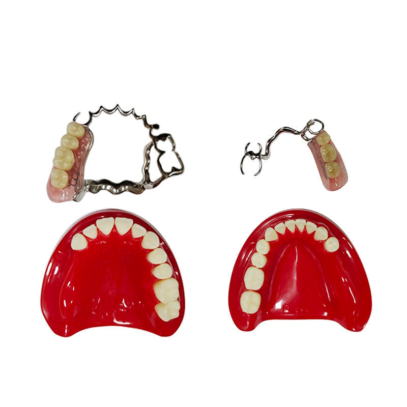 Import Quartz Rubber Plate Partially Edentulous Model for Guiding Students to Complete the Preparation