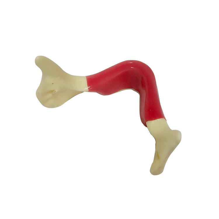 Dental Model Mandibular Jaw Model With Silicone for Dentist Practice