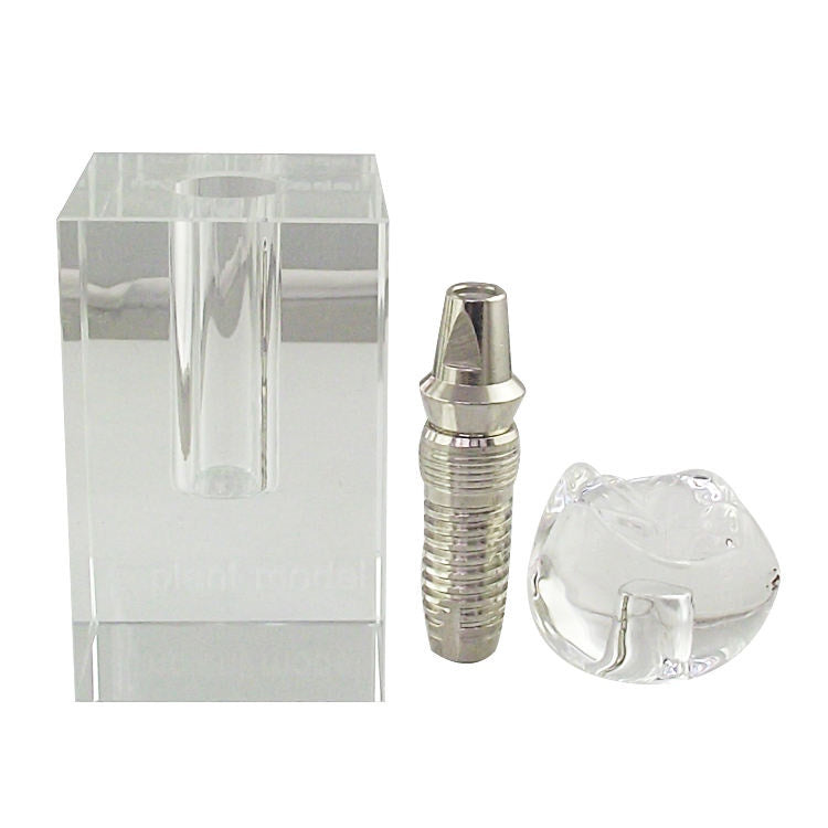 Dental Implant Basic Teaching Demonstration Model Dental Implant Training Model