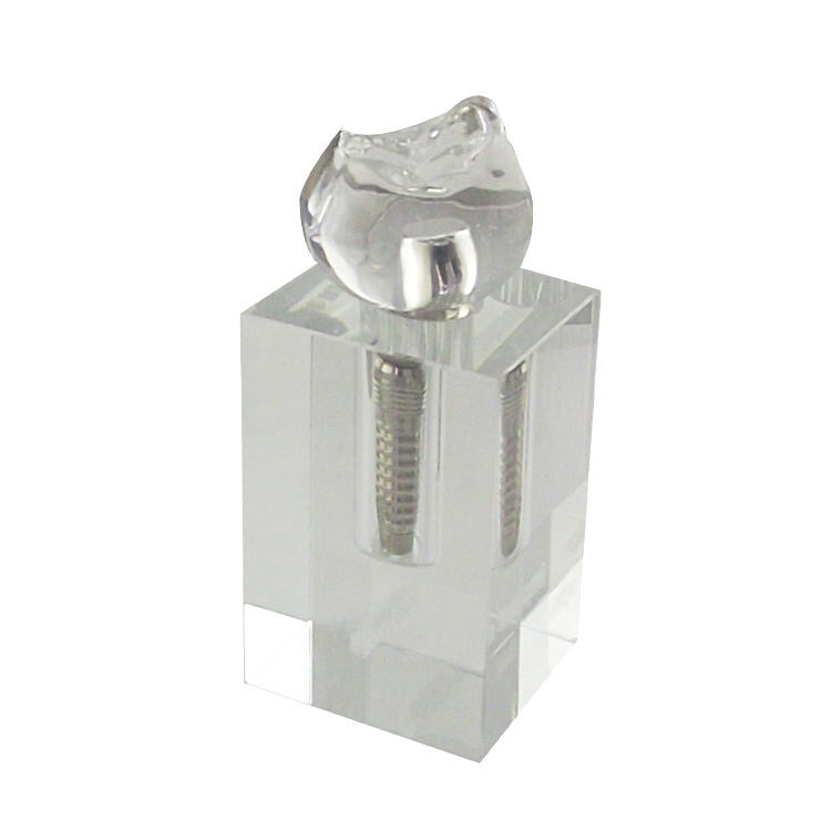 Dental Implant Basic Teaching Demonstration Model Dental Implant Training Model