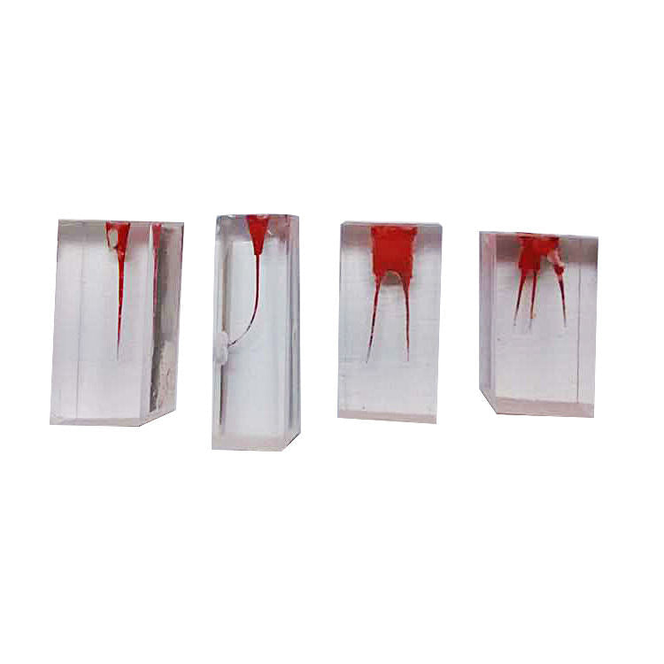 Dental Root Endo Training Block Practice Dental Block
