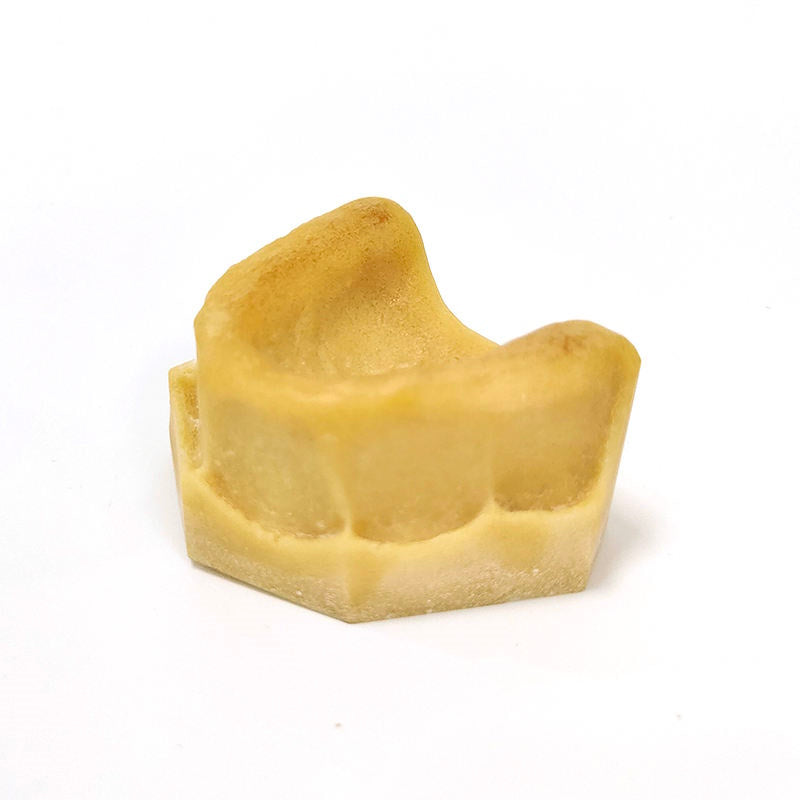 Popular Dental Implant Practice Model for Teaching