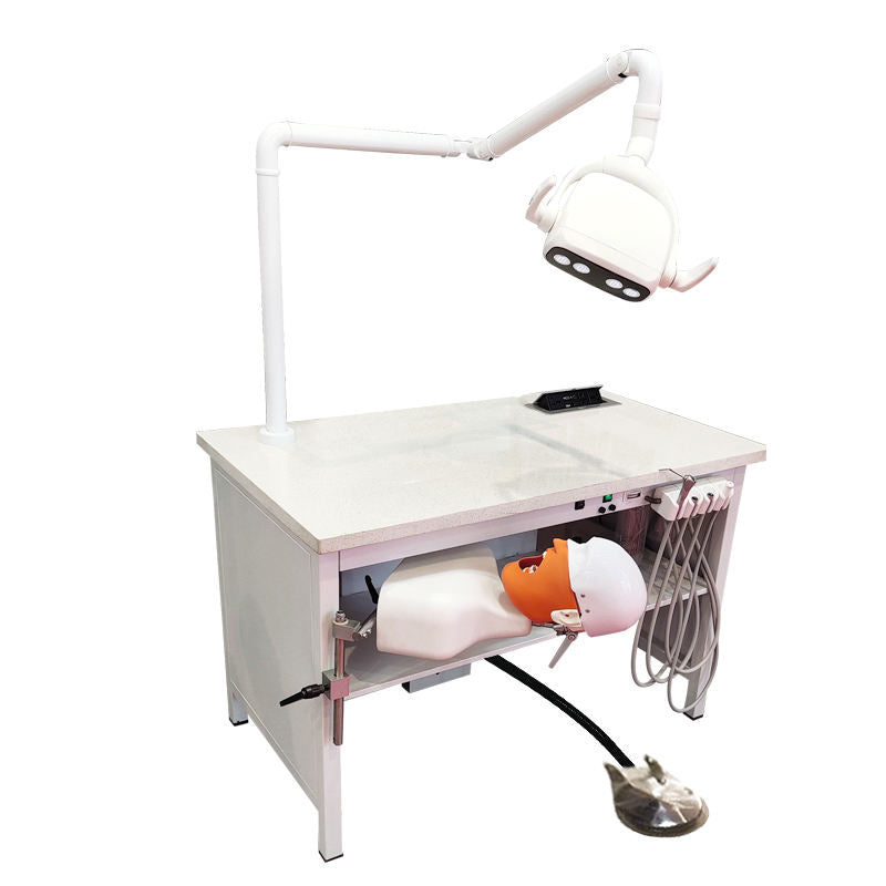 Medical Teaching 90degree Adjust Phantom Head Dental Educational Simulation