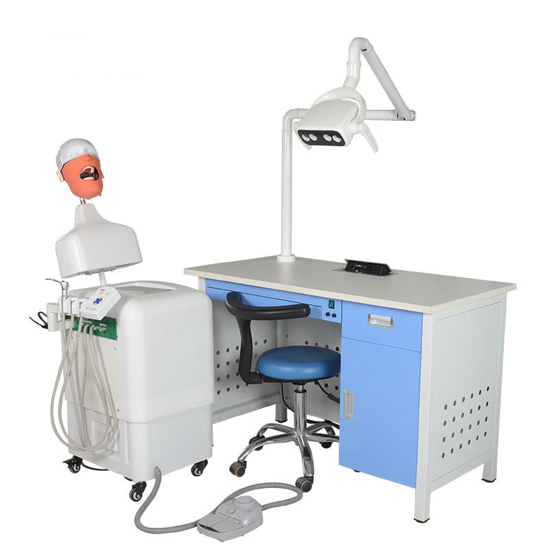 Medical Science Manikin Phantom Head Dental Simulator for Training Practice