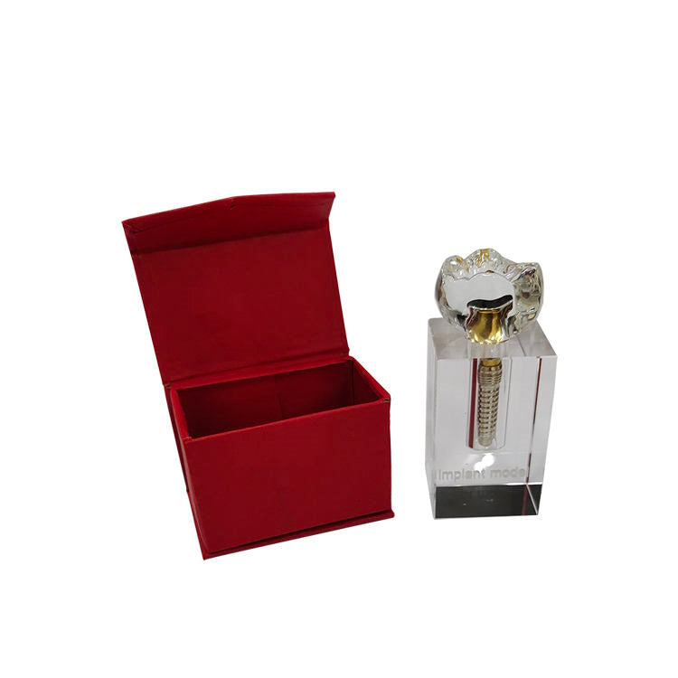 Dental Implant Basic Teaching Demonstration Model Dental Implant Training Model