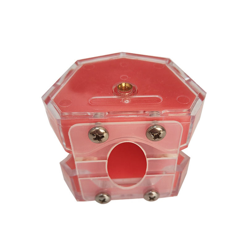 28 Pcs Teeth/set Dental Removable Teeth Model with Soft Gum