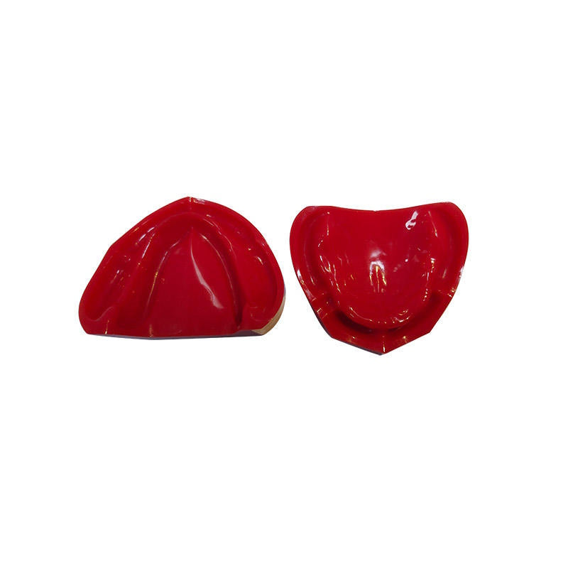 Dental Teeth Teaching Model Imported Resin Edentulous Jaw Model