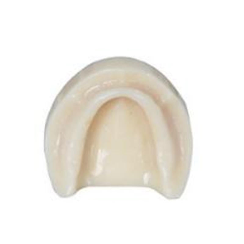 Lower Jaw Dental Models for Patient Education
