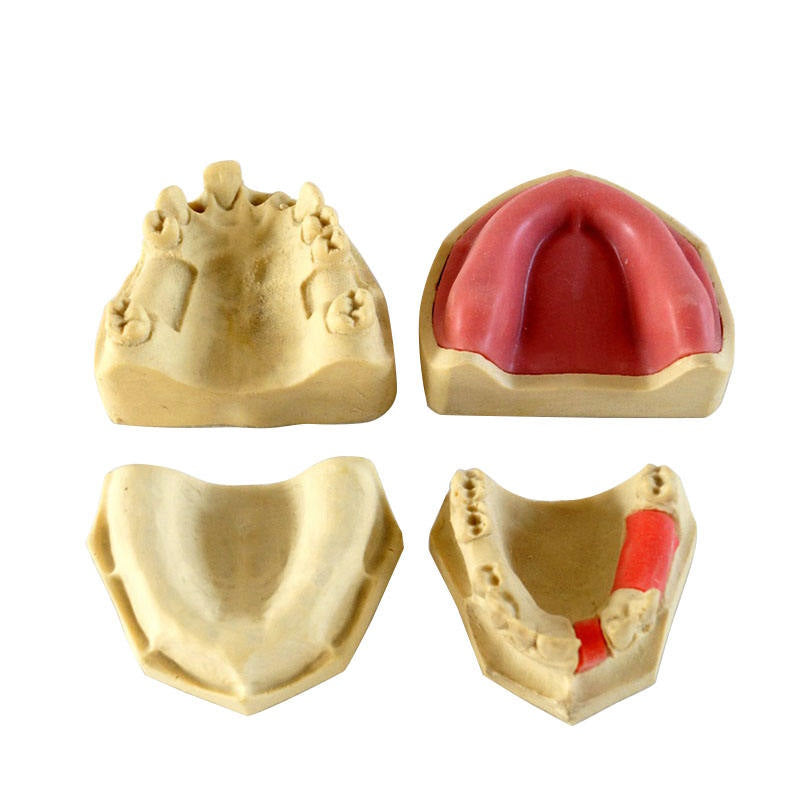Popular Dental Implant Practice Model for Teaching