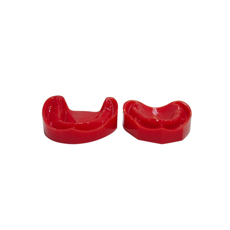 Dental Teeth Teaching Model Imported Resin Edentulous Jaw Model