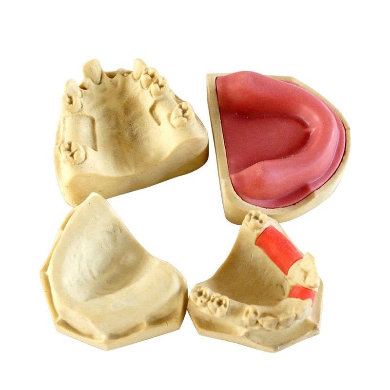 Popular Dental Implant Practice Model for Teaching