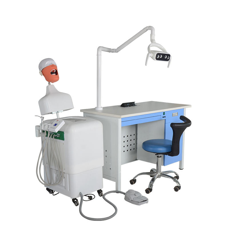 Medical Science Manikin Phantom Head Dental Simulator for Training Practice