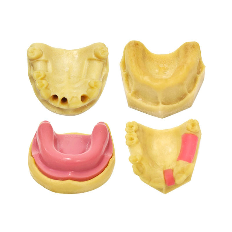 Popular Dental Implant Practice Model for Teaching
